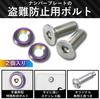 Carmate Car License Plate Security Bolt Flat 2 Neochrome LS423