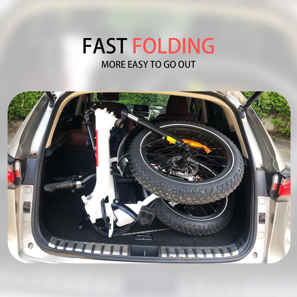 DZ2030 E-Bike 800W Motor 48V16AH Removable Battery Food Delivery Electric Bicycle 20*4.0 Fat Tire Adult Delivery Electric Bike