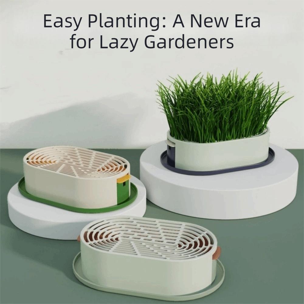 Layered Design Hydroponic Planting Tray Removable Hydroponic Cat Grass Box Indoor Gardening