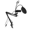 USB-микрофон OneKey Mute RGB-подсветка Подкаст ПК Кардиоидный Конденсаторный Микрофон Комплект для Записи Прямых Трансляций(A6S с 35