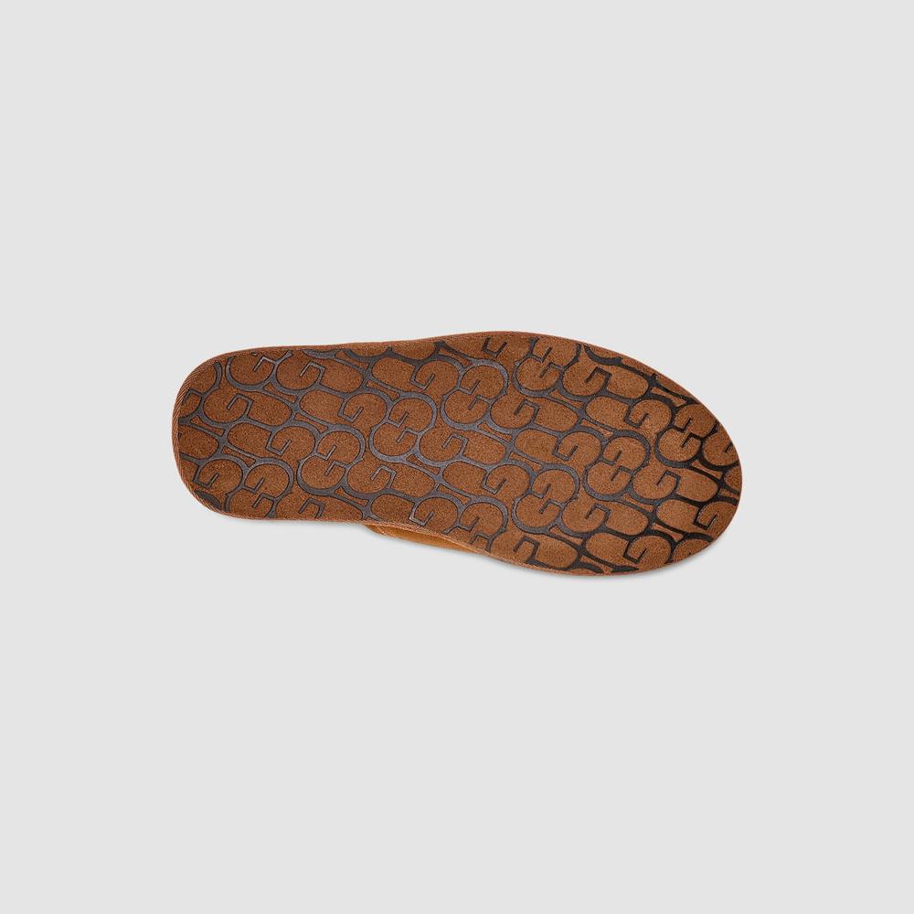 Slippers UGG Chesnut Scuff