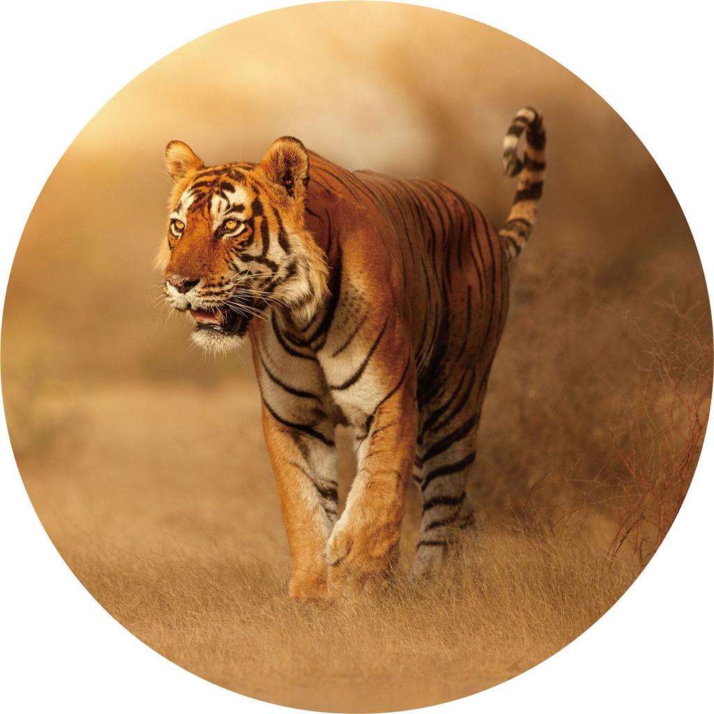 150 шт., игрушки-пазлы, обучающий набор пазлов для детей и взрослых, головоломки, подарки, уникальная бумага, поделки своими руками, Famliy, игры-головоломки, игрушки-головоломки