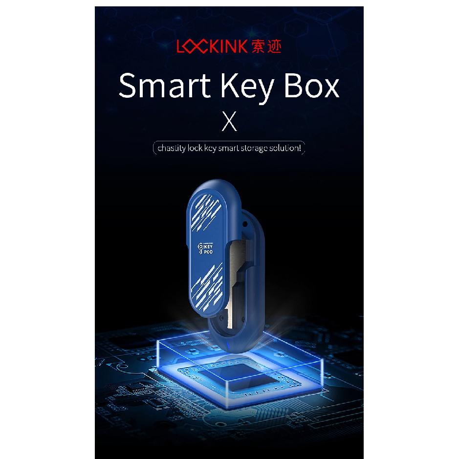 LOCKINK дистанционный ключ, сейф, приложение, интеллектуальное управление, клетка верности для пар, Cb, замок для пениса, секс для взрослых