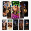 Силиконовый чехол с собакой такса доберман для Honor 30 30S 30i 9 10 9A 9C 9S 9N 10i 10X 9X Lite Pro 5G чехол для телефона