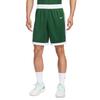 Nike Dri FitКороткие повседневные шорты с перекрестным поясом Мужские Цвет: Canyon Green IB8647-657