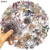 50 ШТ. Ретро Сухоцвет Гипсофила Прозрачные ПЭТ Наклейки DIY Чехол для Телефона Скейтборд Бутылка для Воды Декор Набор Наклеек Игрушка