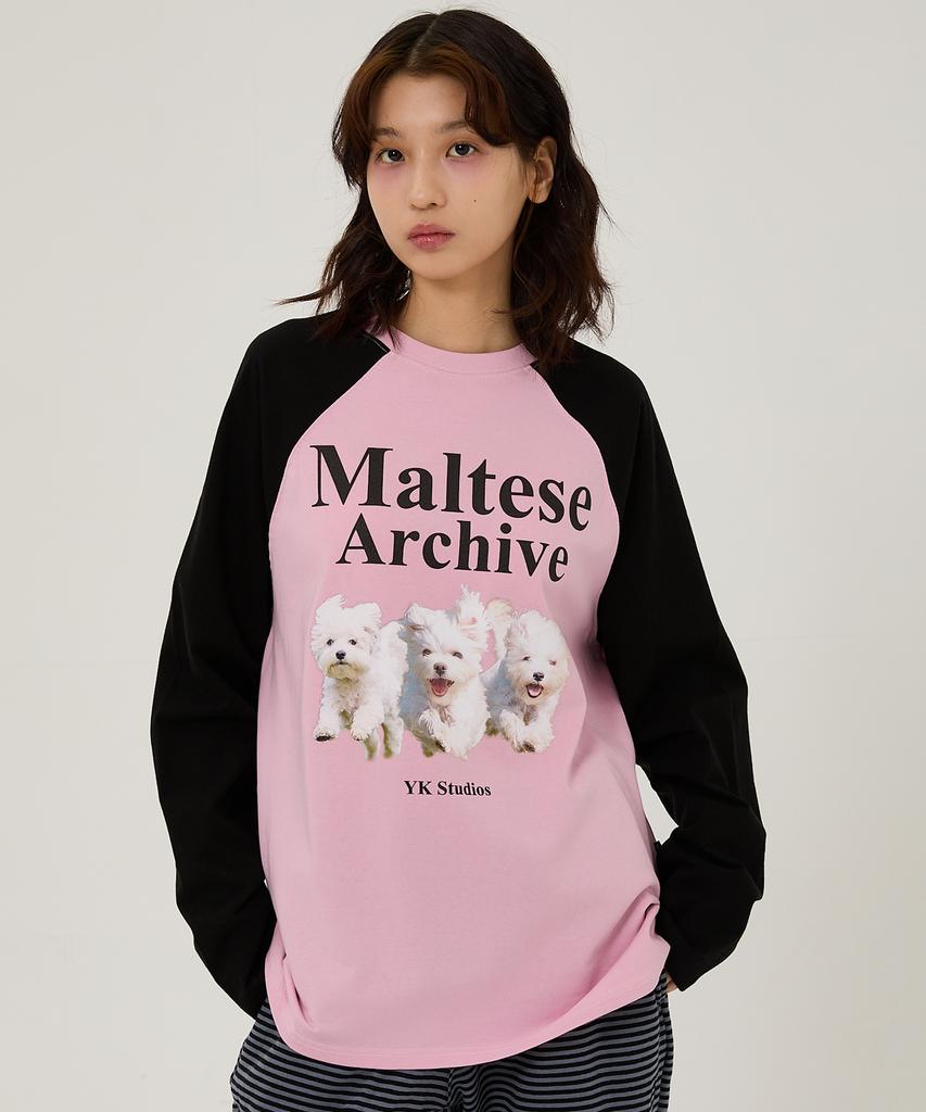 WAIKEI Maltese Archive Raglan Long Sleeve T-Shirt Mint