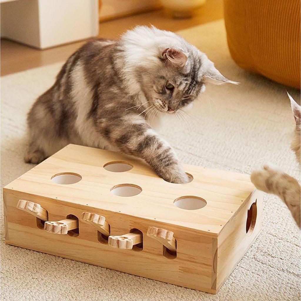 Деревянная игрушка «Ударь крота», Интерактивная игрушка, Игрушка-выскакивашка, Идеально подходит для скучающих домашних взрослых кошек и Идеальный подарок для вашего (5 лунок)