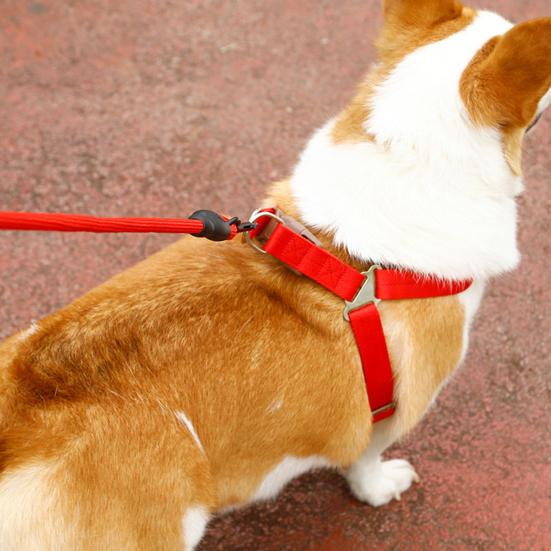 Шлейка для собак с поводком, жилет для дрессировки собак, поводок с мягкой ручкой, принадлежности для домашних животных для маленьких и средних собак и кошек