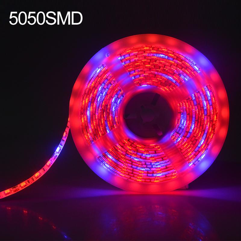 5050 SMD светодиодная фитолампа, лента 5 м постоянного тока, 12 В, полный спектр, водонепроницаемые лампы для выращивания рассады овощей и цветов, палатка
