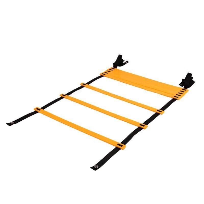 Agility Training Ladder
