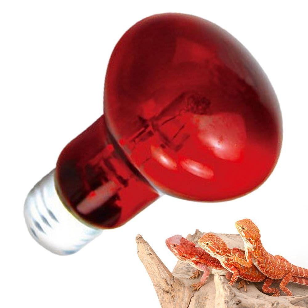 Adjustable Led Pet Heating Lamp Infrared Reptile Heat Bulb Night Light UVA Day Night Bulb Reptiles