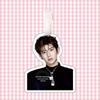 Рюкзак и бирка для багажа со звездой-большеголовкой Wang Yuan TFBOYS