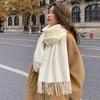 Autumn And Winter New Imitation Cashmere Scarf Solid Color Thickened Warm Fashion Versatile Tassel Shawl High-End