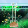 Кормушка для кормления FishTank, инструменты для кормления с миской, съемная рамка, прозрачный акриловый горшок для креветок