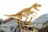 I'm genius zestaw edukacyjny lisciani mały geniusz super kit t-rex dinozaur