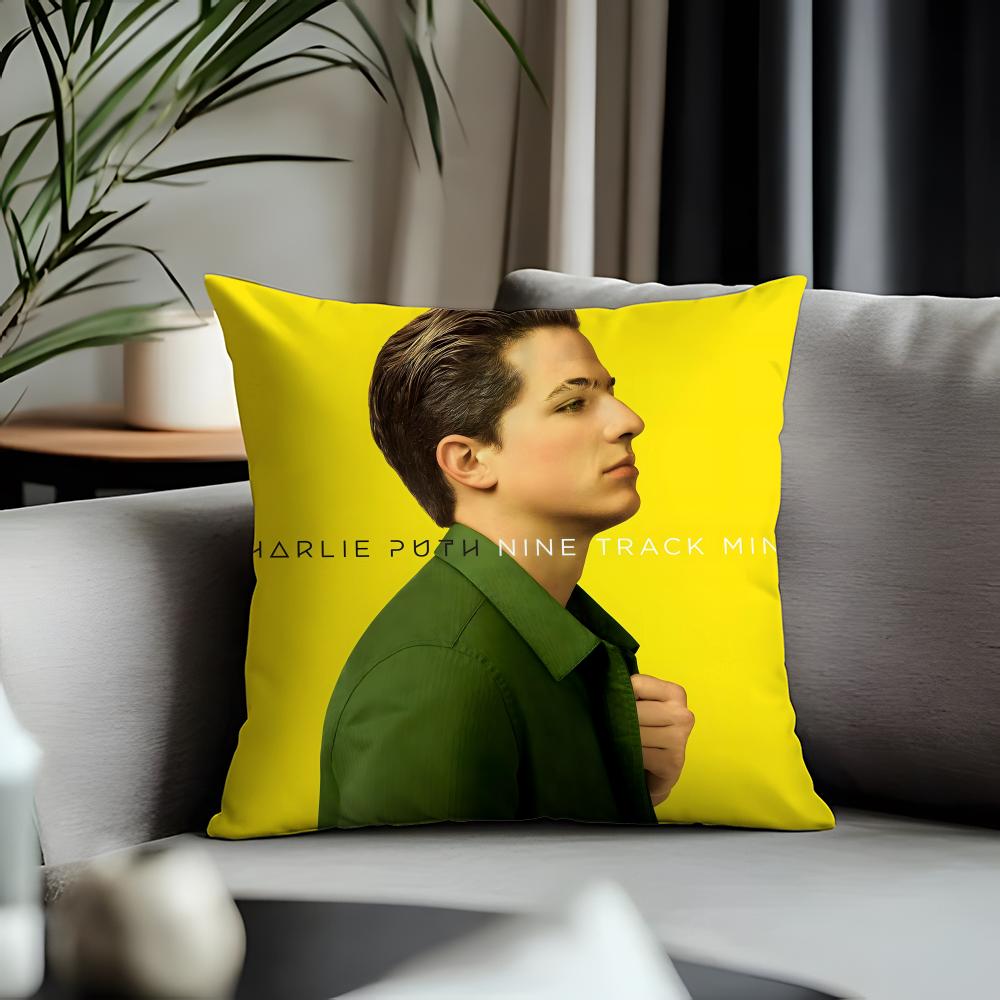 Trending CCharlie Puthed Cushion Cover Antidustmite Pillowcase Invisible Zipper Silky Short Plush Sofa Cushion Cover