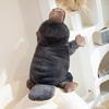 Симуляция Высококачественная Плюшевая Кукла-Подушка Утконос Супер Мягкий Серый Утконос Лежащая Утка Плюшевая Игрушка Подарок