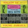 LP Пластинка РАЗНЫЕ ИСПОЛНИТЕЛИ - Звуки Молодой Ямайки MLP12193 Melodisc Records UK Регги, Ска и Даб Б/У