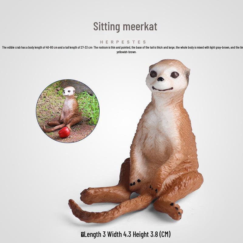 Children's Cognitive Rodent Simulation Toy: Chipmunk, Marmot, Squirrel, Guinea Pig Models