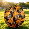 Hull FC Size 5 Sports Training Ball Shock Absorbing Durable Ball For Match Daily Practice Outdoor Activities