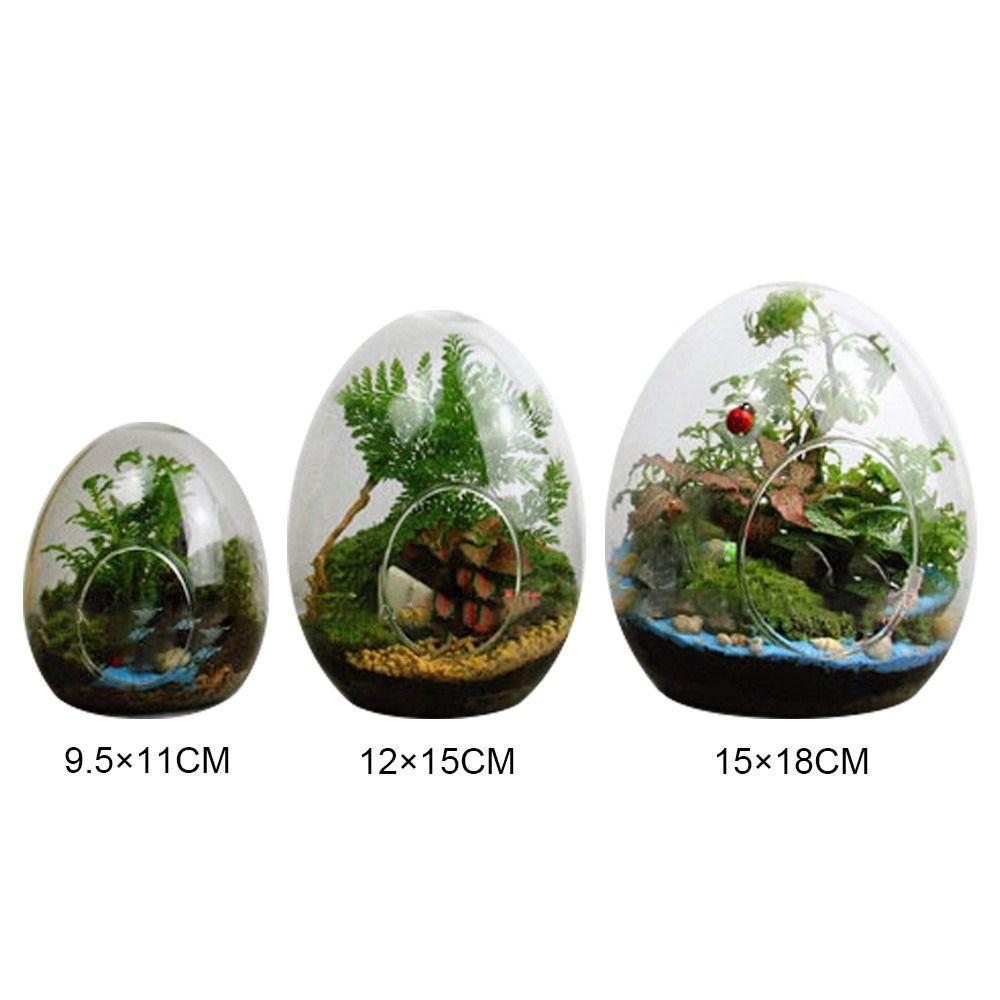 Egg-shaped Terrarium Succulent Glass Vase Micro Landscape Glass Home Decoration Glass Bottles