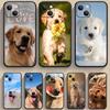 Golden Retriever Phone Case For iPhone Samsung Galaxy Redmi Xiaomi Oppo OnePlus Note S A 7 8 9 10 11 12 13 14 20 21 22 23 53 54 Pro Max Plus Ultra