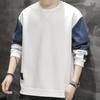 New Spring and Autumn Long-sleeved T-shirt Men's Loose Interior with Casual Zhongshan Sweater On Clothes