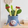 Мультяшный контейнер для суккулентов, смола, маленький цветочный горшок, перевернутый горшок с растением, балконный сад