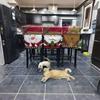 Рождественский эластичный чехол на спинку стула Санта-Клауса, праздничный декор для вечеринки, чехлы для стульев для столовой и кухни, рождественские украшения