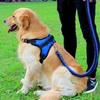 Purple Pet Puppy Large Dog Medium Dog L-Type Harness + Leash Set L, Blue