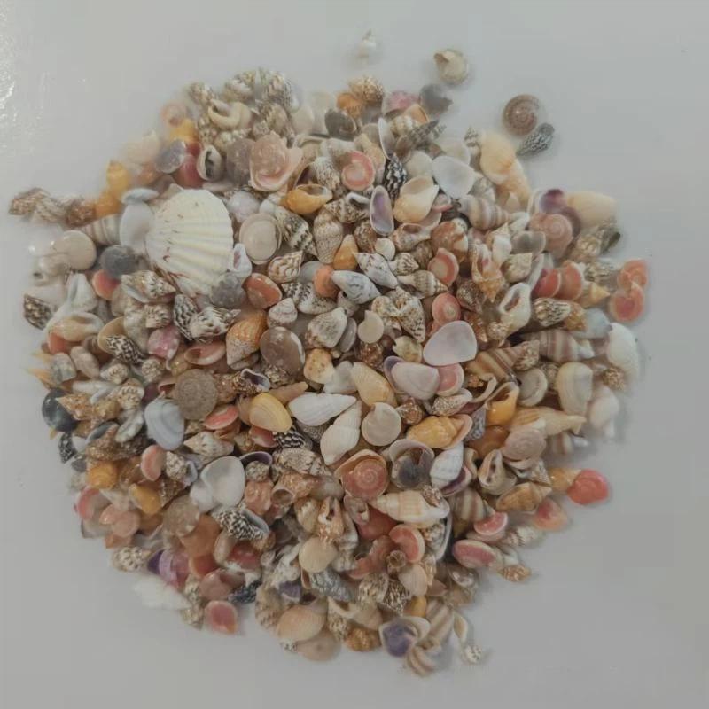 Смешанные ракушки-спирали 200/400/1000 шт. Нетоксичные assorted бусины для изготовления украшений своими руками, декора стола