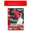 Professional Baseball Card Game DREAM ORDER Team Booster Hiroshima Toyo Carp Carp 12 Pack Box "Red Warrior"