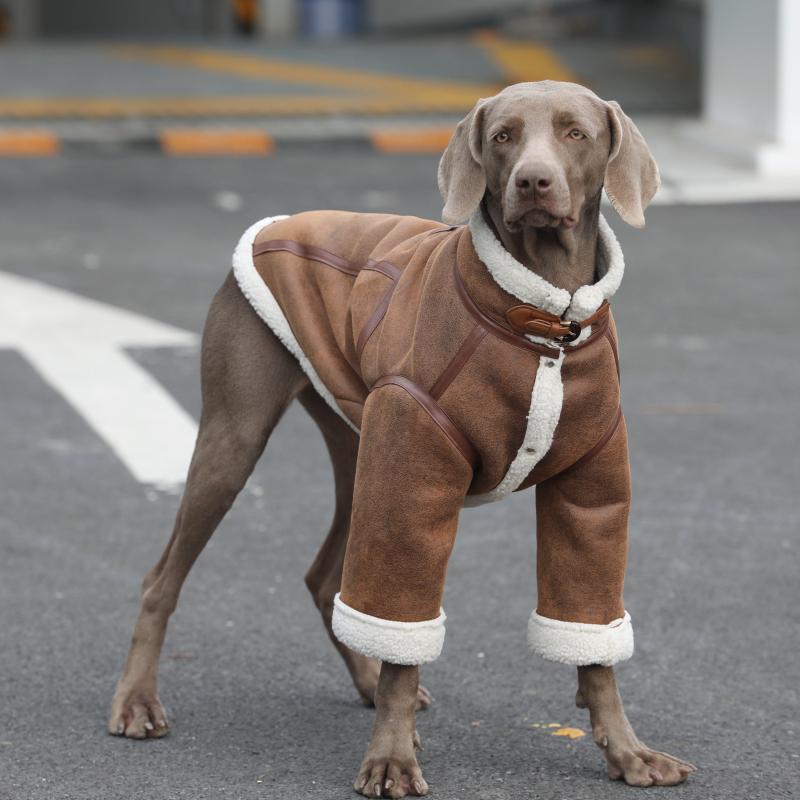 Large Dog Clothes Winter Pet Coat Schnauzer Border Collie Samoyed Husky Labrador Golden Retriever Weimaraner Big Dog Clothing