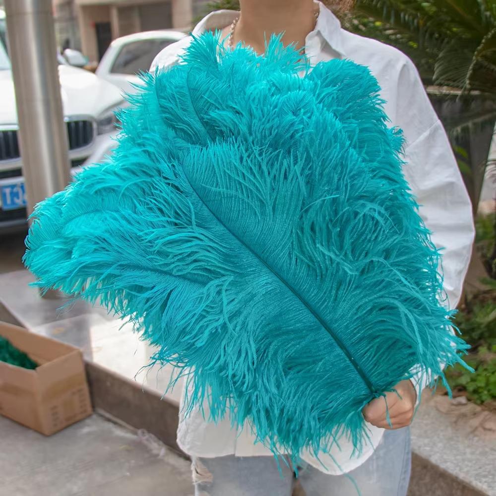 15-60Cm Natural Ostrich Feathers | High-Quality For Diy, Wedding, Party, Stage, Costume & Home Decor | Various Colors Available