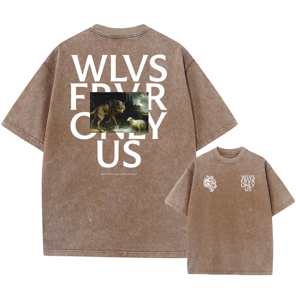 Darc Wolves Sport Vintage Washed T Shirts Gym Bodybuilding Oversize Men Clothing Summer Fitness TEE Workout Darc Sport T Shirts