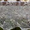 Vintage Floral Embroidered Lace Tablecloth Romantic Boho Sheer Table Cover Wedding Tea Party Outdoor Picnic Home Dining Decor