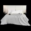Hengyuanxiang TSB1051 Ice Cool Mulberry Silk Quilt