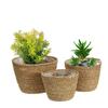 Nordic INS Straw Weaving Flower Plant Basket Grass Planter Indoor Outdoor Garden Pot Covert Container for Plantable Bonsai Decor
