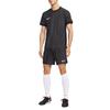 Nike Спортивные повседневные шорты Dri FIT ADV для мужчин IR8429-010