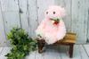 Take Off Plush Music Box Wild Strawberry Bear, Small, Pink