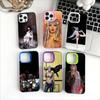 B-Basquiats Art Silver Plated Inside Phone Case For IPhone 17 16 15 14 11 12 13 Pro Max Plus X XR XS Max Colored