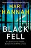Книга Black Fell : The Brand New Stone and Oliver Thriller