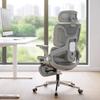 Ergonomic Office Chair, High Back Mesh Desk Chair, Grey