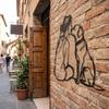 2D Flat Woman And Dog Wall Decor Minimalist Line Art Metal Decor Elegant Wall Art  Modern Home