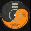 7-дюймовая пластинка JUNIOR TUCKER - Happy AL051 Tropical Record 1975 UK Регги, Ска и Даб