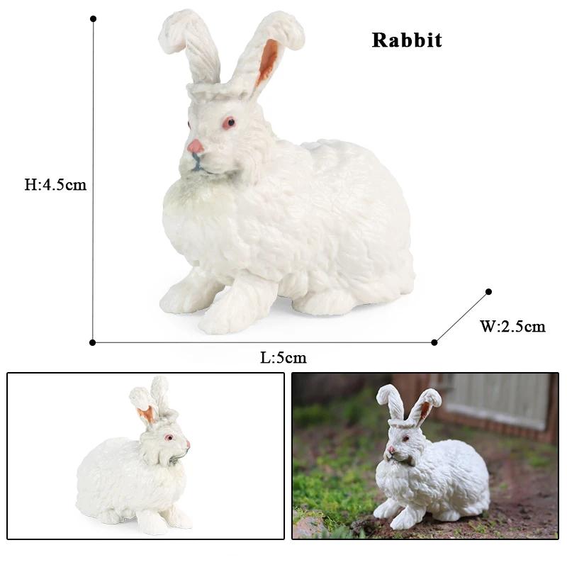 Oenux Lovely Farm Rabbit Bunny Model Action Figure Figurine Wild Desert Cottontail Hare Cute PVC Decoration Education Kid Toy