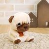 Sun Arrow Potte Pug Plush K-8205
