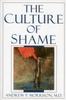 The The Culture of Shame Book