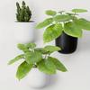 Vibrant Colors Artificial Plants 42 Leaves Simulated Green Plants Fake Tree Leaves  Patio